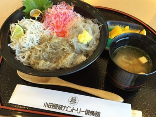 しらす丼